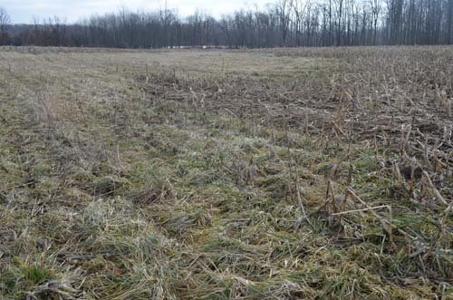 Property photo 88 - 98+/- Acres Offered in 6 Tracts or Combinations, Noble County, Indiana Farm